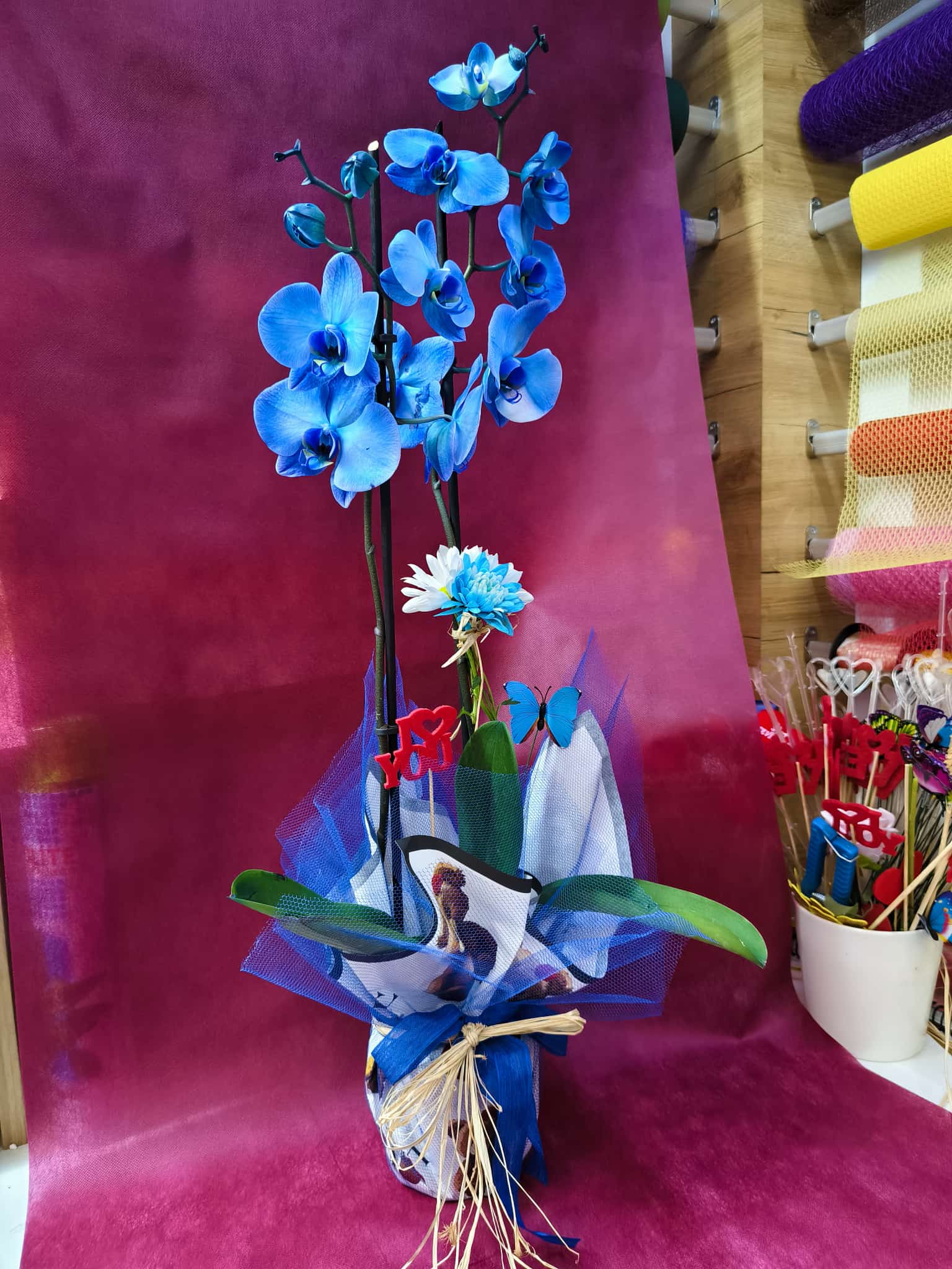 Özel renk 2 dal Orkideler