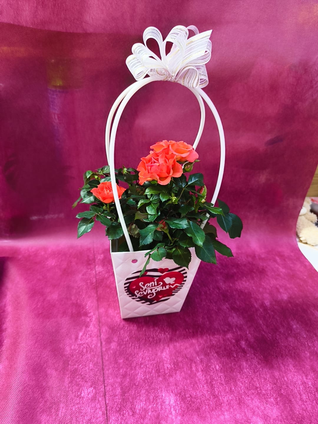 Bodur Gül Çantalı - Kırmızı