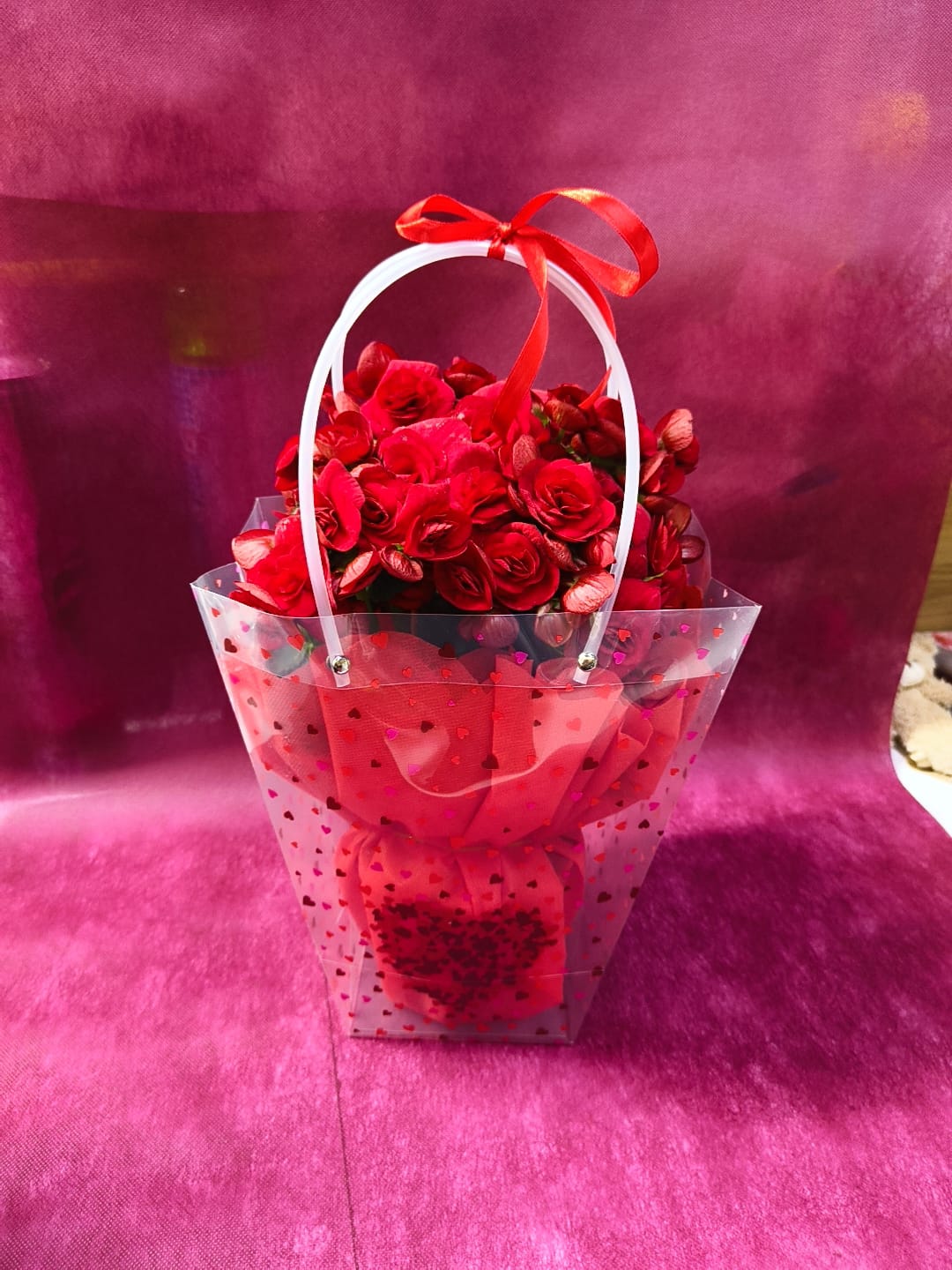 Toran Begonya Çantalı - Kırmızı