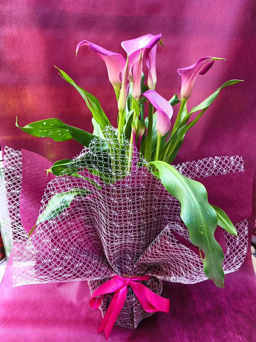 Gala Çiçeği - Pembe